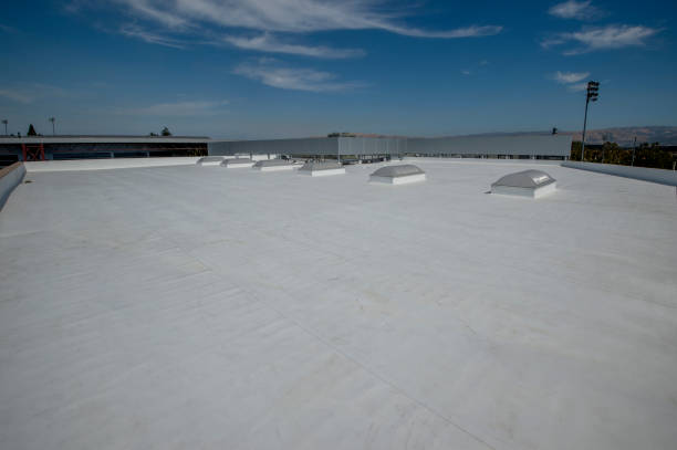 Best Steel Roofing  in Oxford, GA