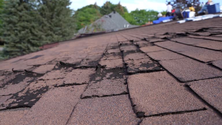 Best Commercial Roofing Services  in Oxford, GA